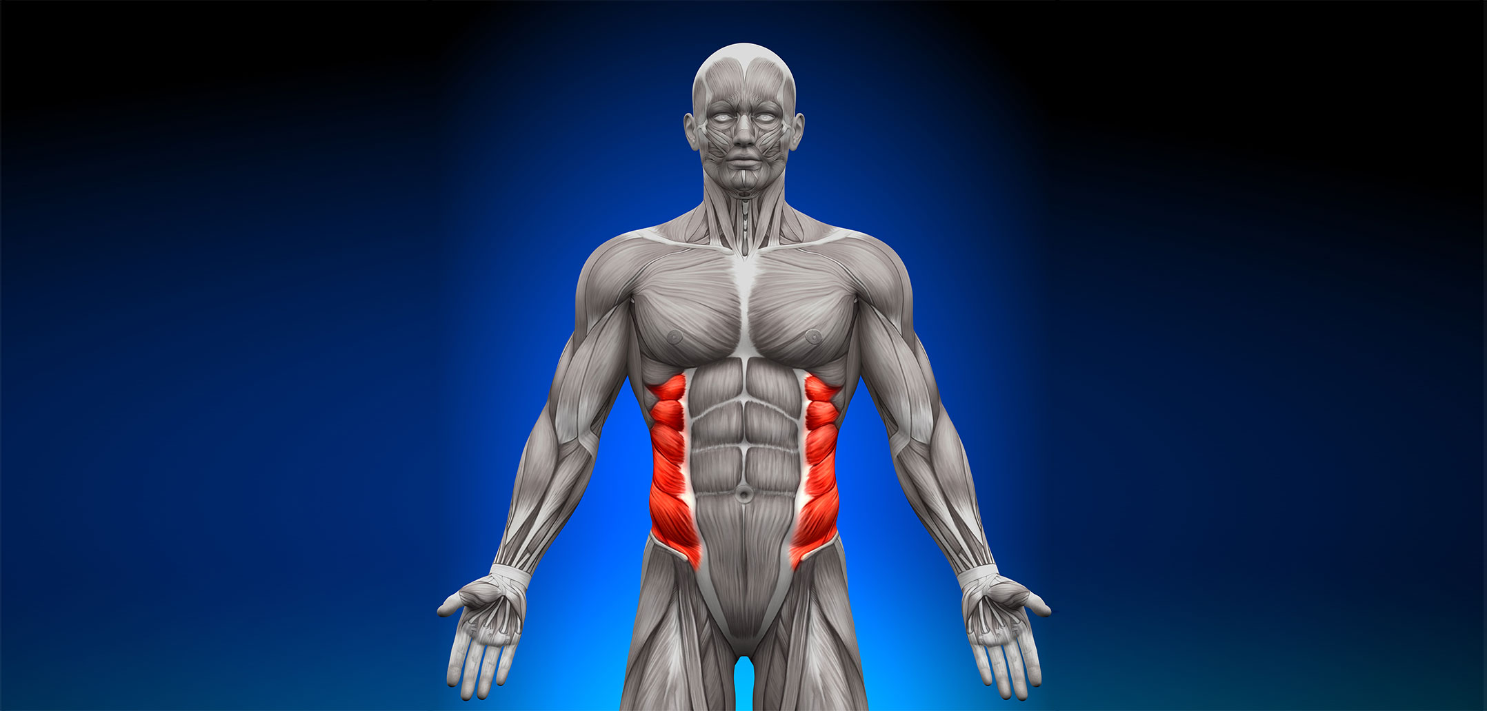 Side discount abs muscle