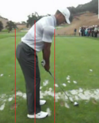 Figure 3. Perfect spine angle – Wedge