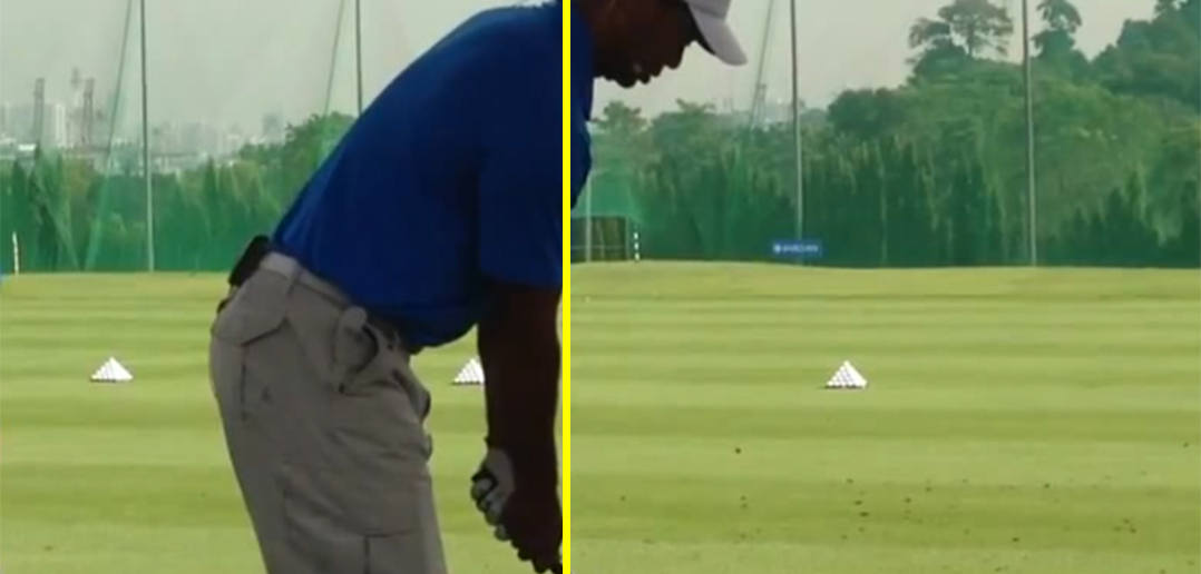 Impact Position for the Golf Swing (rear view)