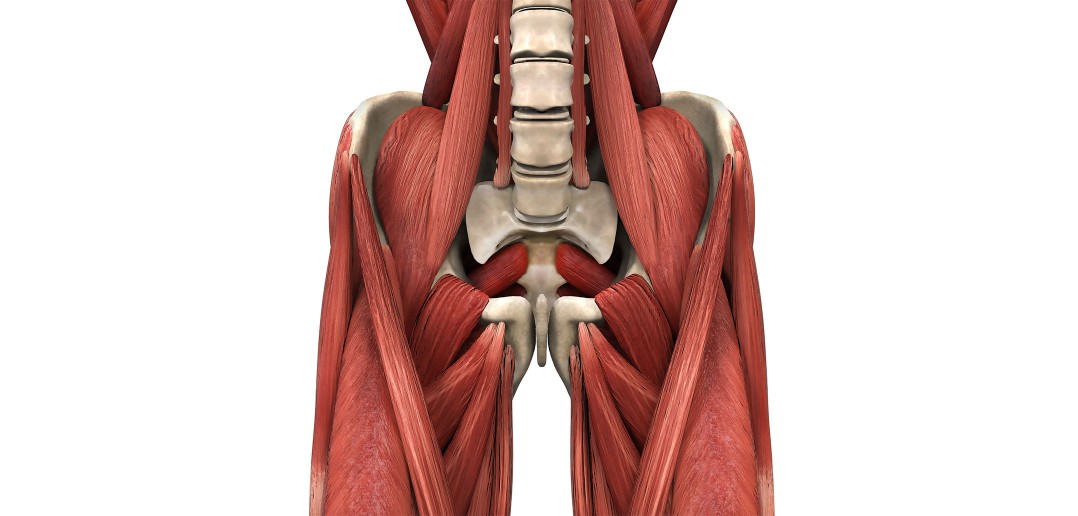 The Role of the Psoas Major in the Golf Swing - Golf Anatomy and Kinesiology