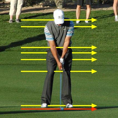 Figure 1.  Align your body parallel to the target line