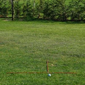 Golf Setup and Alignment Sticks