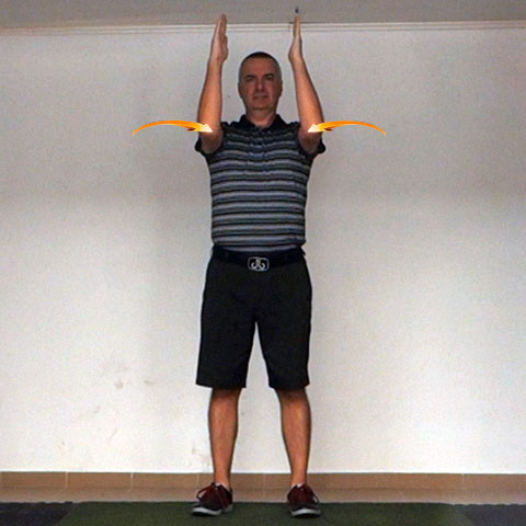 Shoulder Transverse Adduction - Golf Anatomy and Kinesiology